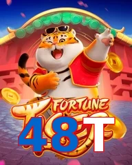 48T