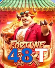 48T