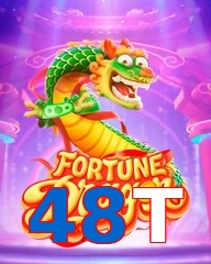 48T