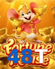 48T